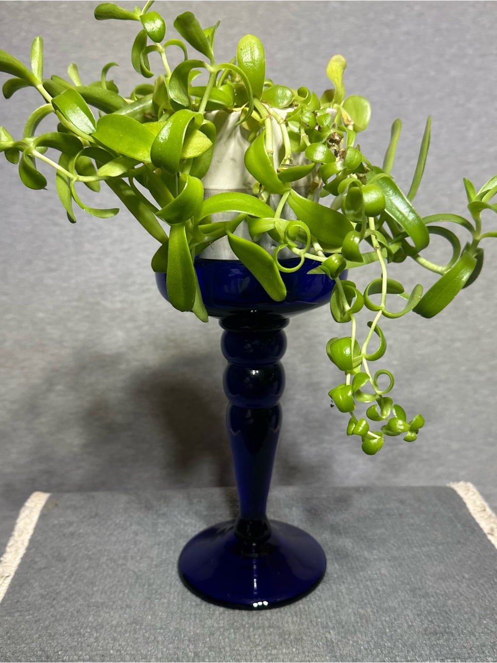 Vintage Cobalt Blue Glass Pedestal candle holder. MCM, retro, boho, farmhouse